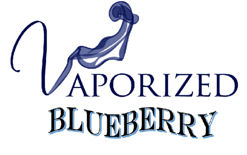 Blueberry 030ml - Vaporized LLC