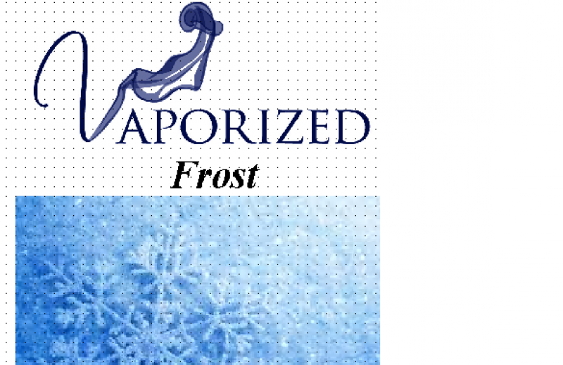 Frost 100ml - Vaporized LLC