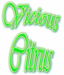 Vicious Citrus 100ml Vape Juice