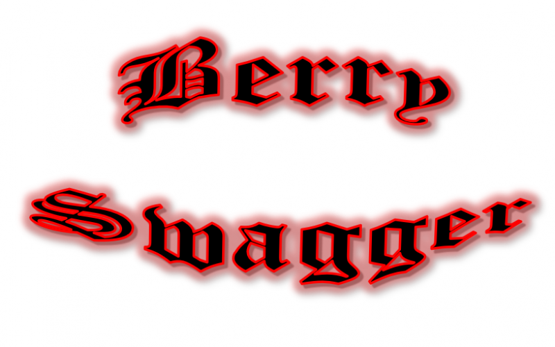 Berry Swagger 100ml - Vaporized LLC