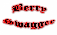 Berry Swagger 100ml - Vaporized LLC